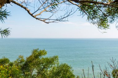 Yangxi, Yangjiang, Guangdong, Çin sahillerinde ağaçlar ve deniz manzarası..