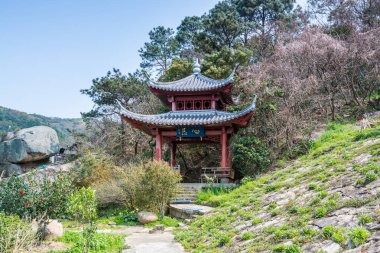 Putuoshan, Zhoushan Adalarındaki Tapınaklar 'da Çin' de geleneksel bir pavyon, Bodhisattva Avalokitesvara 'nın (Guanyin)