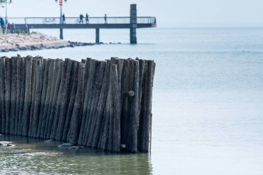 Çin 'in Shenzhen Körfezi' ndeki izleme platformunun arka planında bulunan tahta direkler.