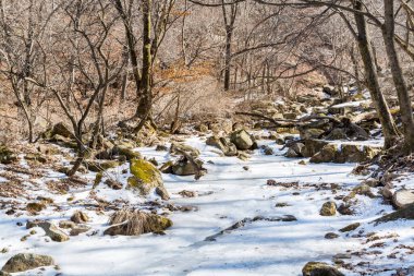 Güney Kore 'nin Seul bölgesindeki Bukhansan Dağı Ulusal Parkı' nda ormanı olan kar ve fronzen nehri..