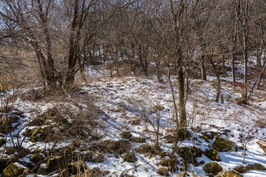 Güney Kore 'nin Seul bölgesindeki Bukhansan Dağı Milli Parkı' nda ormanlı karlar..