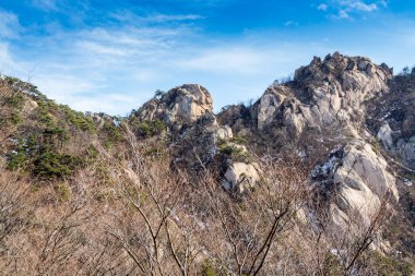 Güney Kore 'de ilkbaharda kayalar, karlar ve ölü ağaçlarla Bukhansan Dağı ulusal parkı..