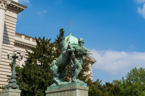 Statue Homme Cheval Devant Parlement Serbie Belgrade Devant Assemblée Nationale — Photo
