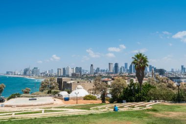 İsrail 'in Tel Aviv kentindeki Jaffa körfezindeki Abrasha Parkı' ndan Tel Aviv 'in manzarası. Palmiye ağaçları ve ufuk çizgileri var..