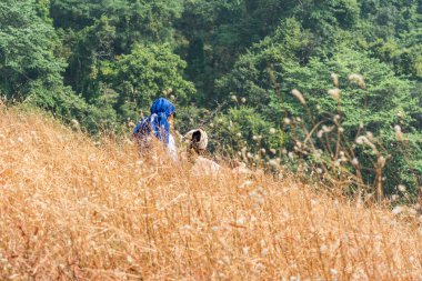 Sonbaharda, Sanjay Gandhi Ulusal Parkı 'nın tepesinde, Hindistan' ın kuru çimenlerde oturan sevgi dolu bir Hintli çift. 