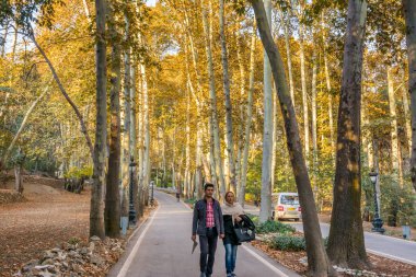 Sonbaharda Büyük Tahran, Shemiran 'da yer alan Kazar ve Pahlavi hükümdarları tarafından inşa edilen Sa' dabad Sarayı Kompleksi 'nin parkında yürüyen İranlı bir ziyaretçi. 