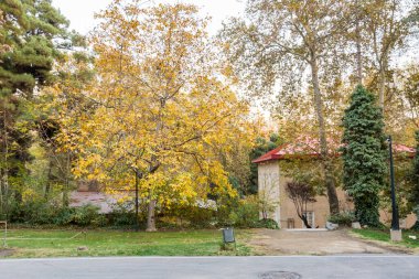 İran 'ın başkenti Shemiran' da yer alan Qajar ve Pahlavi hükümdarları tarafından inşa edilen Sa 'dabad Sarayı Kompleksi' nde sonbaharda altın orman.