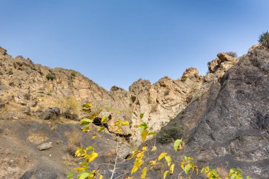 Sonbaharda kayalar ve ağaçlarla kaplı Tochal dağ sırtı mavi gökyüzüne karşı, Tahran, İran. Tochal Tahran sakinleri için popüler bir eğlence bölgesidir.
