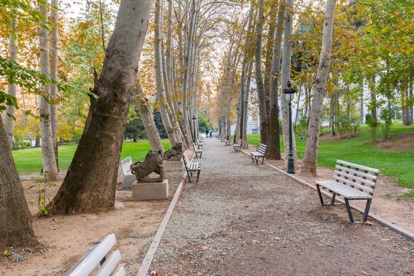 Golden forest with bench in autumn with sunset in Sa\'dabad palace Complex, built by the Qajar and Pahlavi monarchs, located in Shemiran, Greater Tehran, Iran