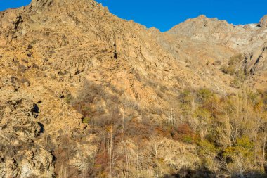 Sonbaharda Darband vadisinde sonbaharda sabah Tochal dağında klorlu yaprakları olan bir orman. Tahran sakinleri için popüler bir eğlence bölgesi