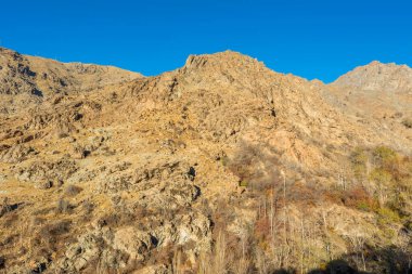 Sonbaharda Darband vadisinde sonbaharda sabah Tochal dağında klorlu yaprakları olan bir orman. Tahran sakinleri için popüler bir eğlence bölgesi