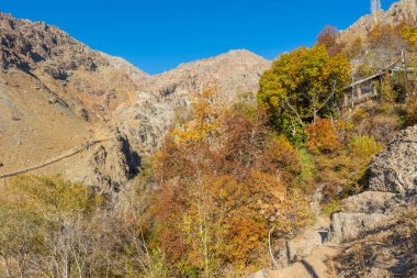 Sonbaharda Tochal dağında Darband vadisinde sabah ağaçta altın yapraklar. Tahran sakinleri için popüler bir eğlence bölgesi
