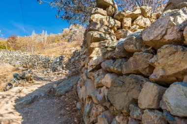 Sonbaharda Tochal dağında Darband vadisinde sabah ağaçta altın yapraklar. Tahran sakinleri için popüler bir eğlence bölgesi