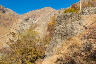 Sonbaharda Tochal dağında Darband vadisinde sabah ağaçta altın yapraklar. Tahran sakinleri için popüler bir eğlence bölgesi