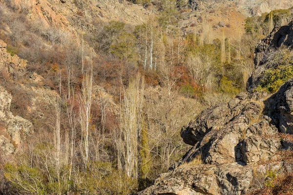 Bosque Con Hojas Clorosas Valle Darband Otoño Por Mañana Montaña —  Fotos de Stock