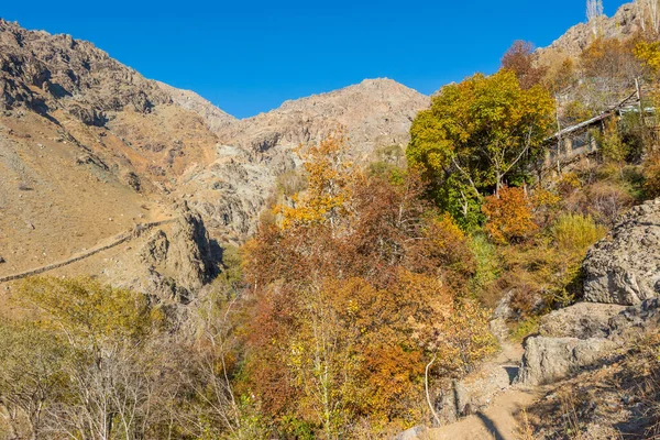 Sonbaharda Tochal dağında Darband vadisinde sabah ağaçta altın yapraklar. Tahran sakinleri için popüler bir eğlence bölgesi