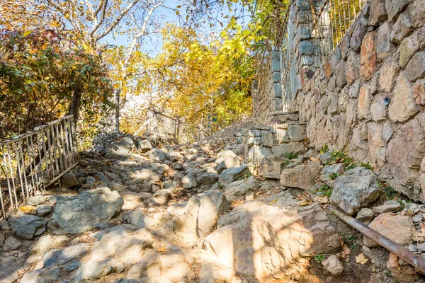 Sonbaharda Tochal dağında Darband vadisinde sabah ağaçta altın yapraklar. Tahran sakinleri için popüler bir eğlence bölgesi