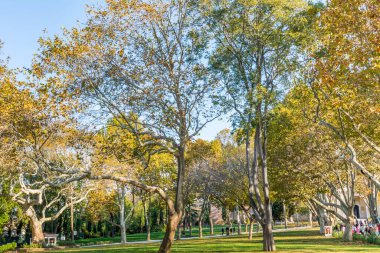  Sonbaharda Topkapı Sarayı, İstanbul ve Türkiye 'de parktaki ağaç ve çayırlarda altın yapraklar