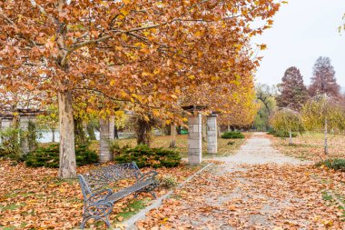 Bükreş 'teki Herastrau parkındaki huzurlu ve renkli ağaçlar veya Romanya' nın Bükreş kentinin kuzeyindeki büyük bir park olan Kral I. Michael Parkı
