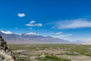 Tarlaları, Tibet binaları, kar dağları ve mavi gökyüzü, Ladakh, Kashmir 'de, Thiksey Manastırı veya Thiksey Gompa' nın manzarası.