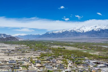 Tarlaları, Tibet binaları, kar dağları ve mavi gökyüzü, Ladakh, Kashmir 'de, Thiksey Manastırı veya Thiksey Gompa' nın manzarası.