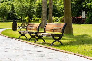 Tropikal parktaki çayırlarda palmiye ağaçları olan boş banklar. 