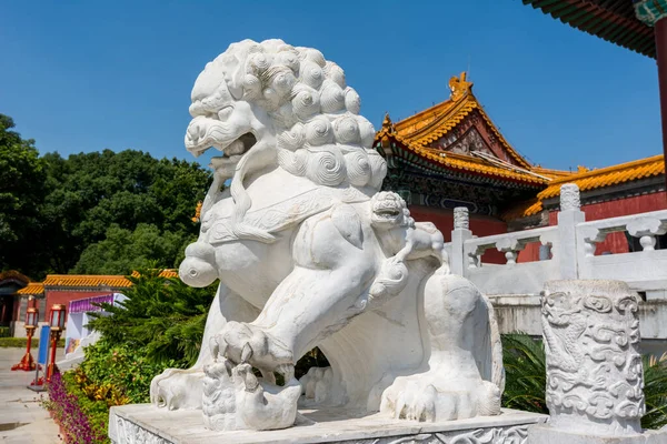 Chinese traditional culture, ancient Chinese marble stone female lion sitting lion in front of New Yuan Ming Palace in Zhuhai, China.