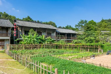 Eski bir Çin ahşap evi Hakka 'nın Gankeng evi mavi gökyüzüne karşı Shenzhen, Çin' de sebze bahçesi.