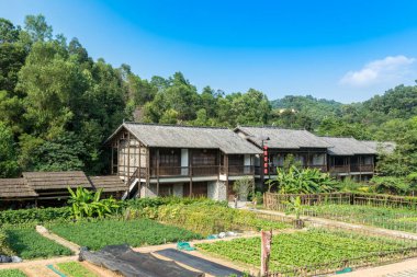 Eski bir Çin ahşap evi Hakka 'nın Gankeng evi mavi gökyüzüne karşı Shenzhen, Çin' de sebze bahçesi.