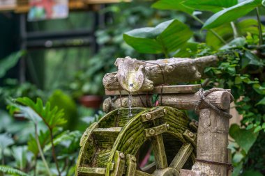 Küçük bir Çin bahçesinde akan su.