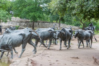 Dallas, Teksas, ABD 'deki Pioneer Plaza' daki dev boğa heykelleri..