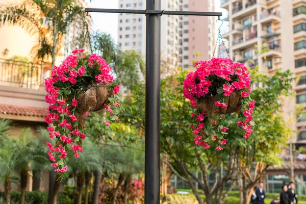 Deux Fausses Paniers Fleurs Suspendus Poteau Dans Parc Shenzhen Chine — Photo