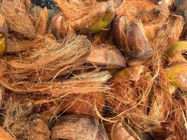 Kuru ve fibröz hindistan cevizi kabukları kaba coir iplikleri gösteriyor, organik dokuyu, tarımı veya çevre dostu materyalleri resmetmek için ideal..