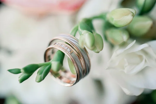 Alyanslar ve çiçekler