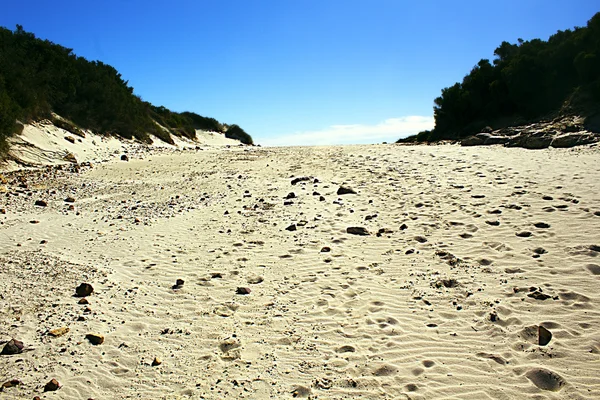 Sandy Dune hiçbir yerde — Stok fotoğraf