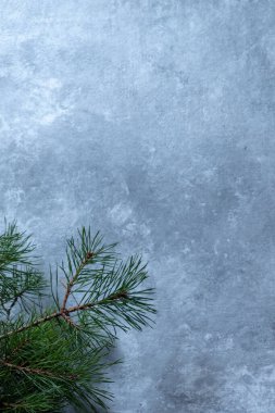 Gri beton arka planda ladin dalı. Kopyalama alanı olan tebrik kartı.