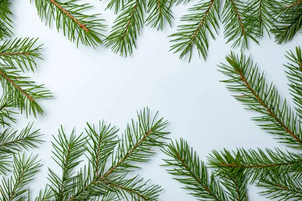 Fond simple de Noël et Nouvel An avec des branches d'épinette verte. Copier l'espace et la vue supérieure. — Photo