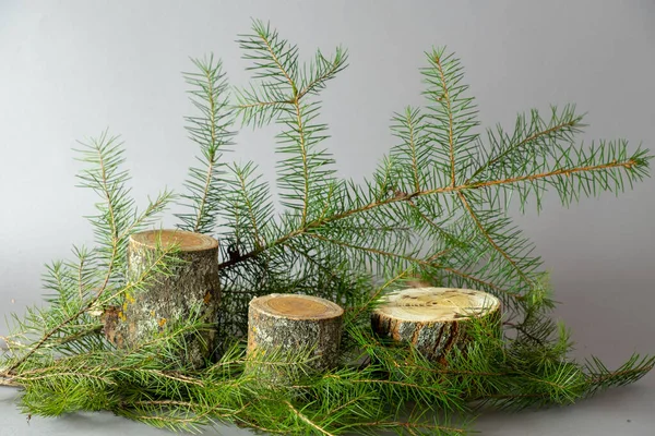 Trois podiums vides de forme cylindrique en bois naturel sur fond gris. Des branches d'épinette verte se trouvent à proximité. Pour la présentation du produit. — Photo