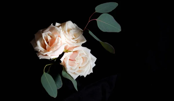 Crema di rose ed eucalipto. Delicata disposizione floreale su sfondo nero. Fotografia low key. Copia spazio — Foto Stock