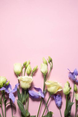 Pembe arka planda Eustoma çiçekleri ve leylak kleği. Romantik düğün geçmişi. Üst görünüm ve kopyalama alanı