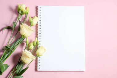 Pembe ve beyaz arka planda narin östoma çiçekleri. Boş defter ve kopyalama alanı. Tebrik ederim güzel kartpostal. Tebrik ederim güzel kartpostal..