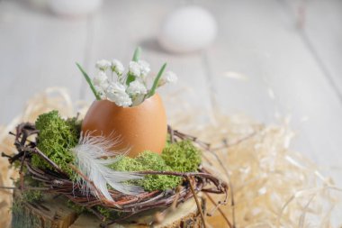 Doğal bir Paskalya dekoru. Yuvasında çiçekler olan yumurta kabuğu. Bulanık ve seçici odaklanma. Kapat.