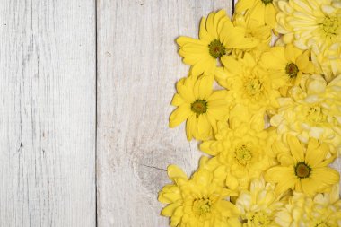 Beyaz ahşap arka planda sarı kasımpatı çiçekleri. Çiçek çerçevesi, üst görünüm ve kopyalama alanı. Anneler Günü ve Uluslararası Kadınlar Günü 8 Mart.