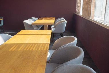 Yeşil bitki duvarlı, rahat bir kafenin içi. Yerde ve masada çok güzel gölgeler var. Güneşli bir gün. Yüksek kalite fotoğraf