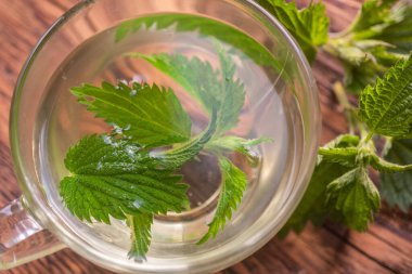 Tahtada bir fincan ısırgan otu çayı ve taze ısırgan otu. yakın çekim ve üst görünüm