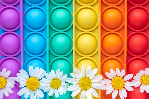 Close-up of a pop-it toy and a chamomile flowers. Summer and rainbow concept. Colorful background and copy space. — Stock Photo, Image