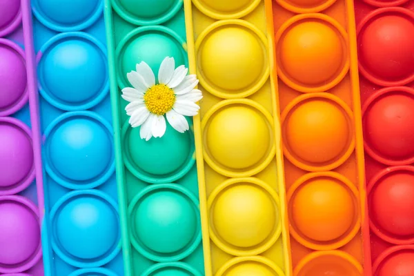 Close-up of a pop-it toy and a chamomile flower. Summer and rainbow concept. Colorful background and copy space.