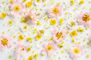 Çiçekli yaz geçmişi. Düz yatış, üst görünüm.