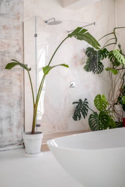 Geniş bir tavan arası banyosunun yan görüntüsü.. 