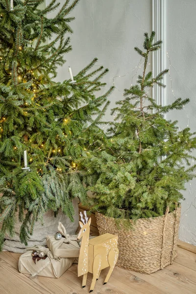 Zero Waste Weihnachtskonzept Frische Weihnachtsbäume Blumentöpfen Und Handgemachte Geschenkverpackungen Silvester — Stockfoto